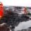 ‘Ensure Shell restores N/Delta environment to pre-oil exploration’