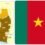 A regulatory and compliance guide for Cameroon’s 2026 licensing round